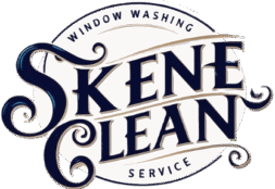 skeneclean.net